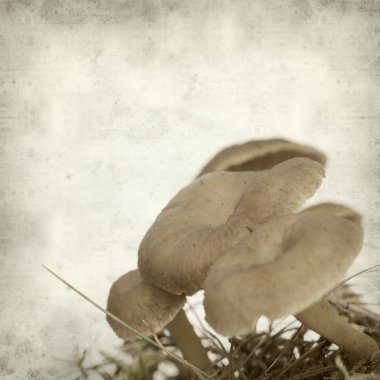 desenli eski kağıt arkaplan