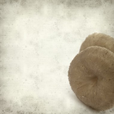 desenli eski kağıt arkaplan