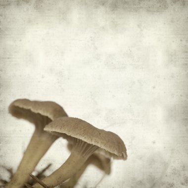 desenli eski kağıt arkaplan