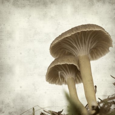 desenli eski kağıt arkaplan