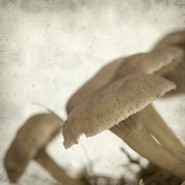 desenli eski kağıt arkaplan