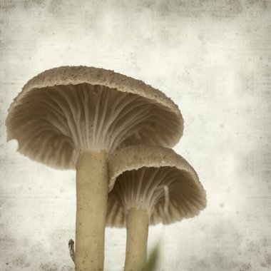 desenli eski kağıt arkaplan