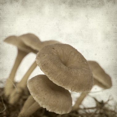 desenli eski kağıt arkaplan