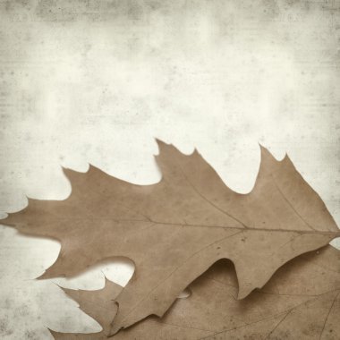 desenli eski kağıt arkaplan