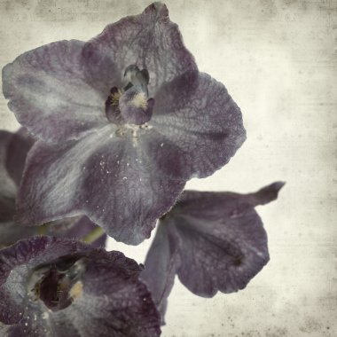 desenli eski kağıt arkaplan