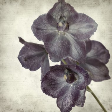 desenli eski kağıt arkaplan