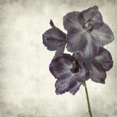 desenli eski kağıt arkaplan