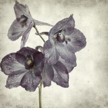 desenli eski kağıt arkaplan