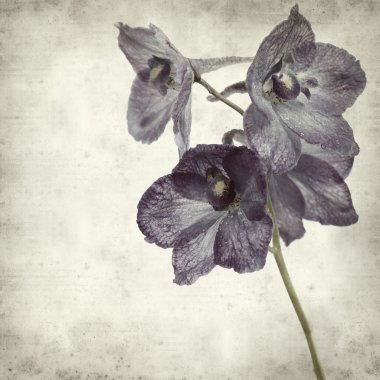 desenli eski kağıt arkaplan