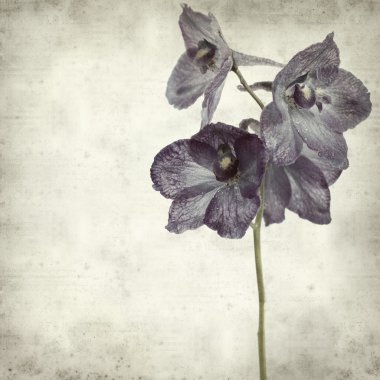 desenli eski kağıt arkaplan