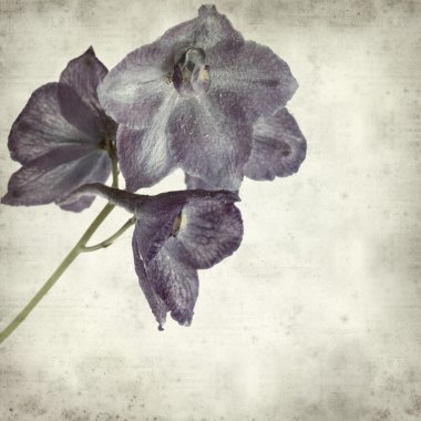 desenli eski kağıt arkaplan