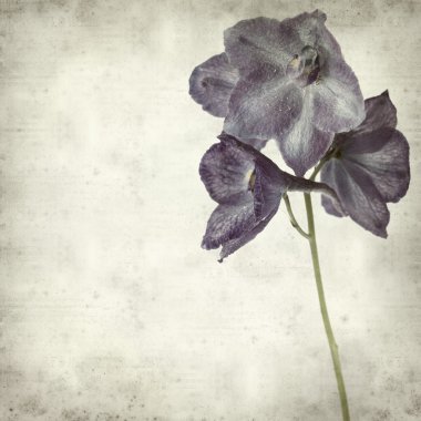 desenli eski kağıt arkaplan