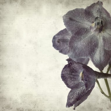 desenli eski kağıt arkaplan