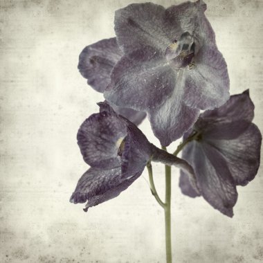 desenli eski kağıt arkaplan