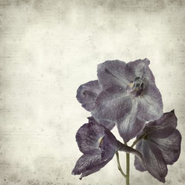 desenli eski kağıt arkaplan