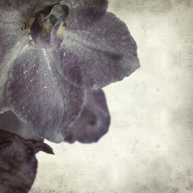 desenli eski kağıt arkaplan