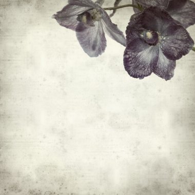 desenli eski kağıt arkaplan