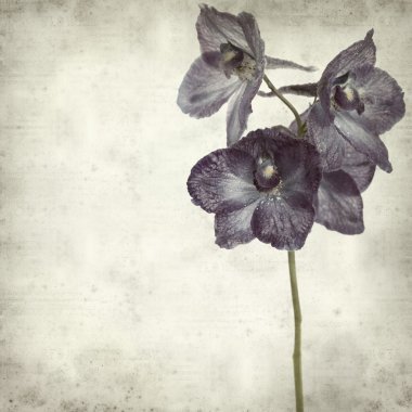 desenli eski kağıt arkaplan