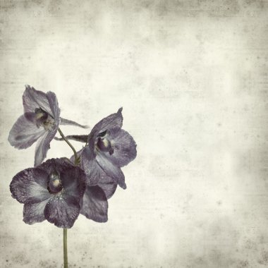 desenli eski kağıt arkaplan