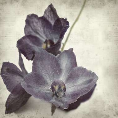 desenli eski kağıt arkaplan