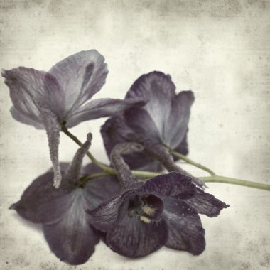 desenli eski kağıt arkaplan