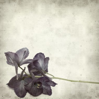 desenli eski kağıt arkaplan