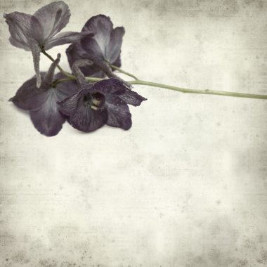 desenli eski kağıt arkaplan