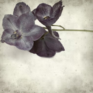 desenli eski kağıt arkaplan