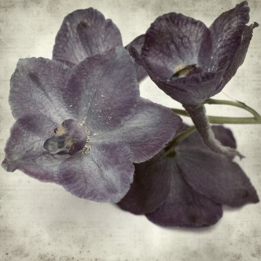 desenli eski kağıt arkaplan