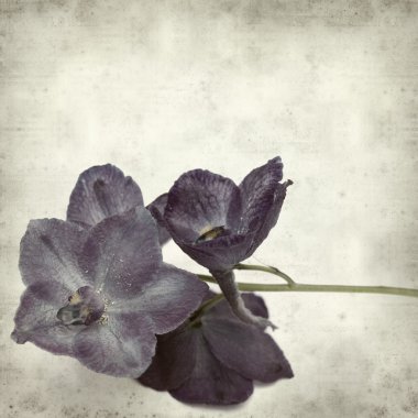 desenli eski kağıt arkaplan