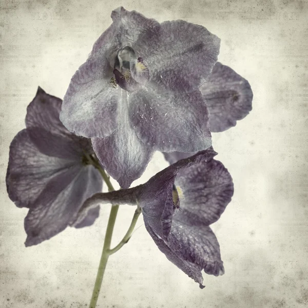 desenli eski kağıt arkaplan