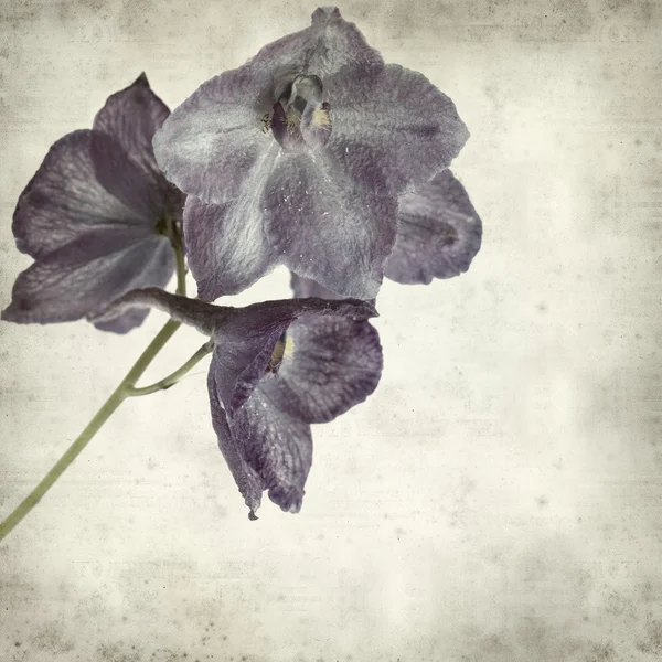 desenli eski kağıt arkaplan