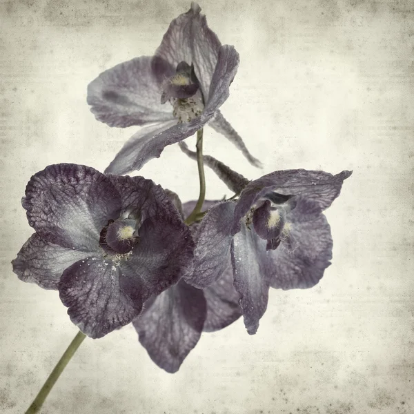 desenli eski kağıt arkaplan