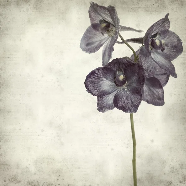 desenli eski kağıt arkaplan