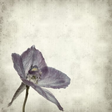 desenli eski kağıt arkaplan