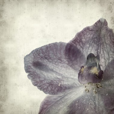 desenli eski kağıt arkaplan