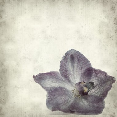 desenli eski kağıt arkaplan