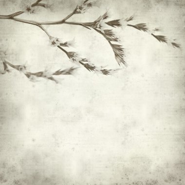 desenli eski kağıt arkaplan