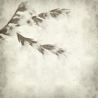 desenli eski kağıt arkaplan