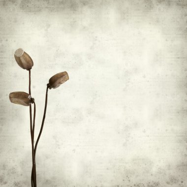 desenli eski kağıt arkaplan