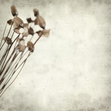 desenli eski kağıt arkaplan