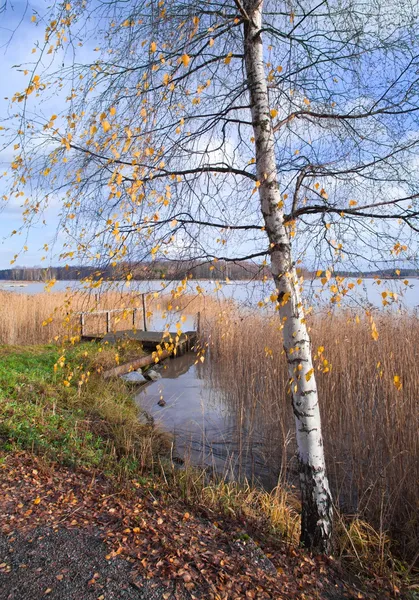 Finlande méridionale, fin automne — Photo