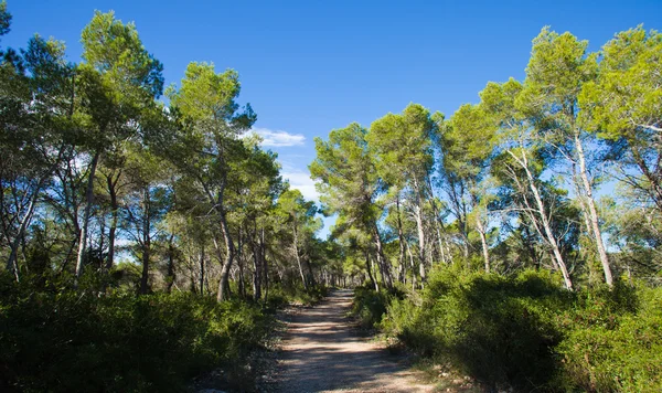 Garraf... — Fotografia de Stock