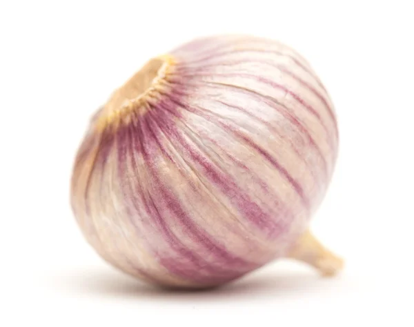 Single clove garlic — Stock Photo, Image