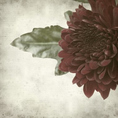 desenli eski kağıt arkaplan