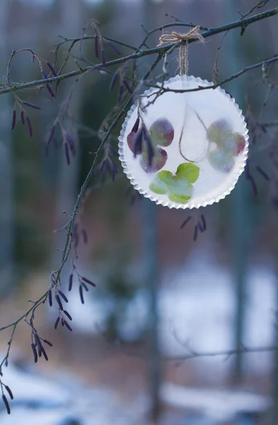 氷の飾り — ストック写真