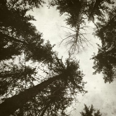 desenli eski kağıt arkaplan