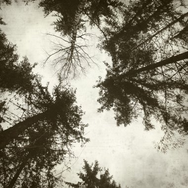 desenli eski kağıt arkaplan