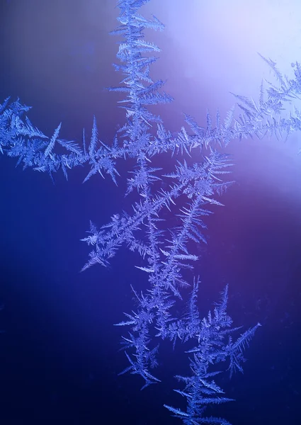Beautiful frost pattern on window — Stock Photo, Image