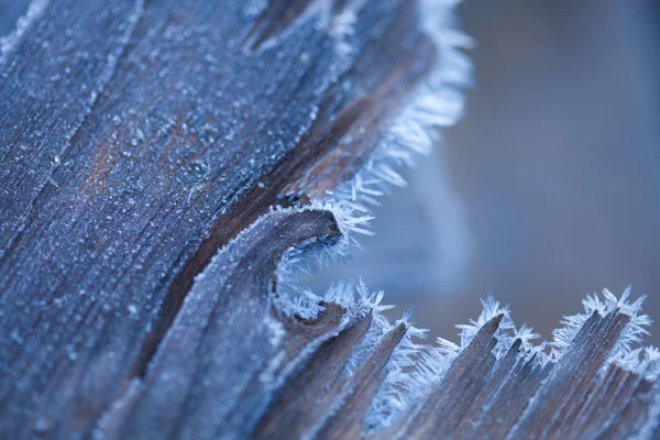 Madera en hoarfrost —  Fotos de Stock